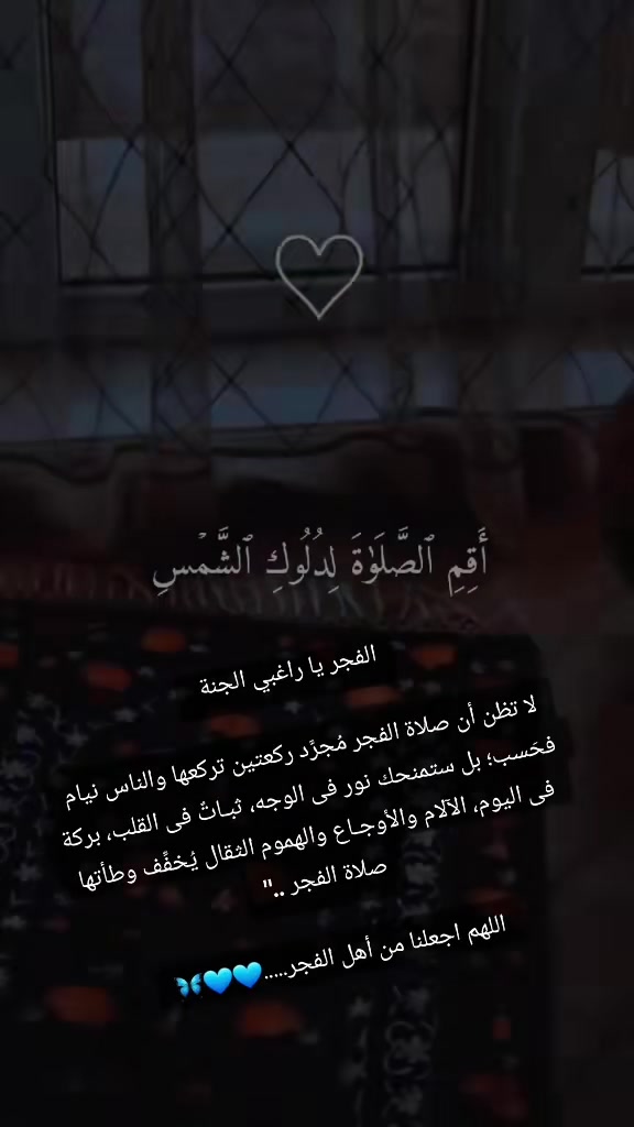 @ننوشه 🌸
