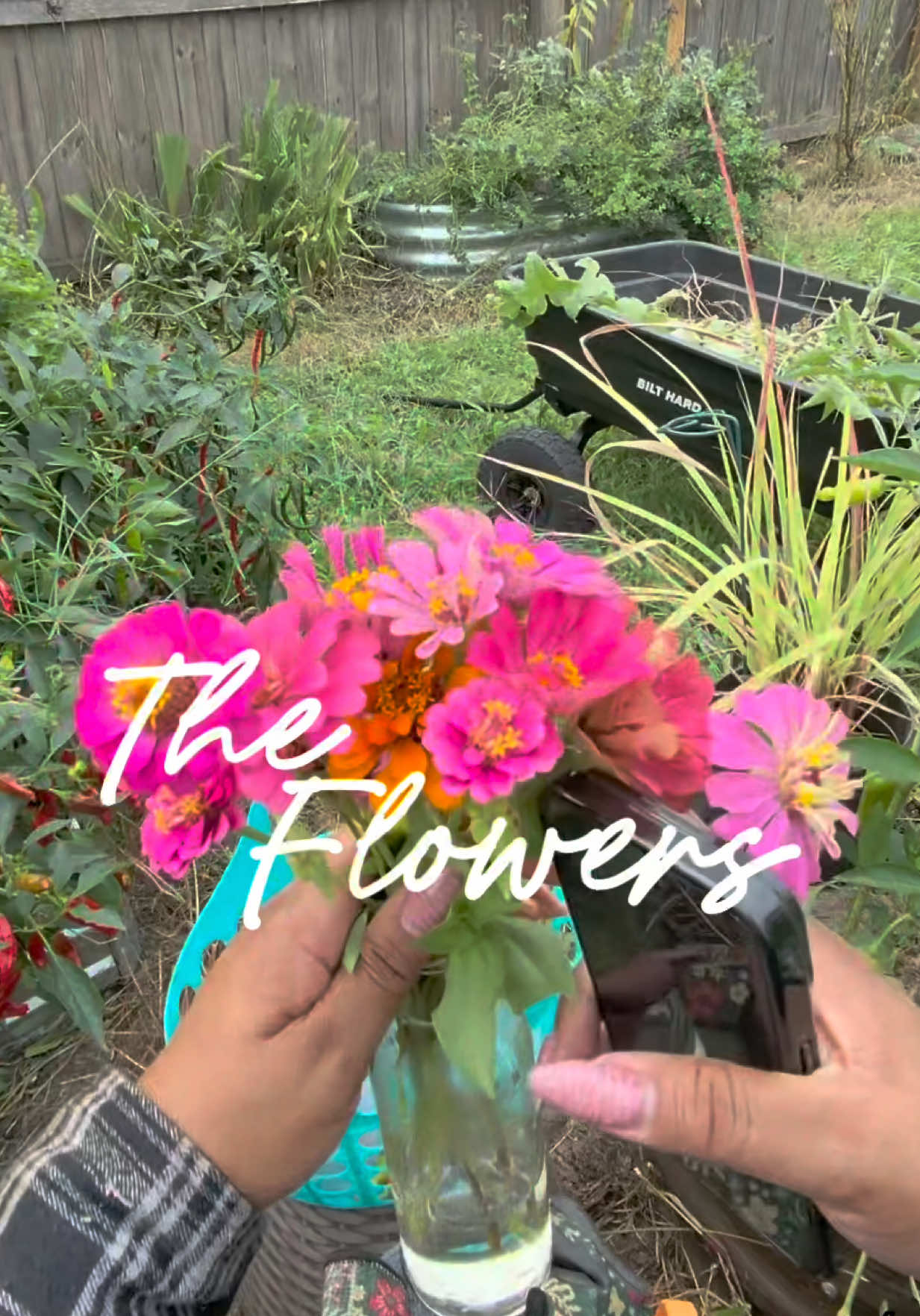 @Planted757