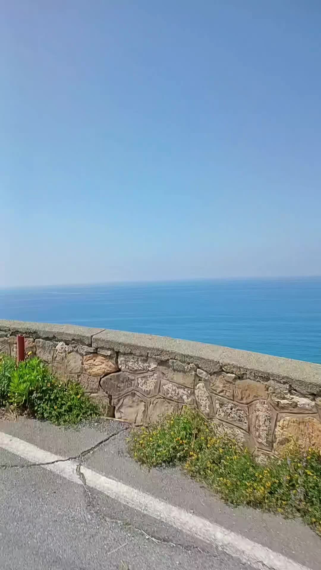 @𝘔𝘰𝘯𝘪𝘢 𝘈𝘷𝘰𝘭𝘪𝘰