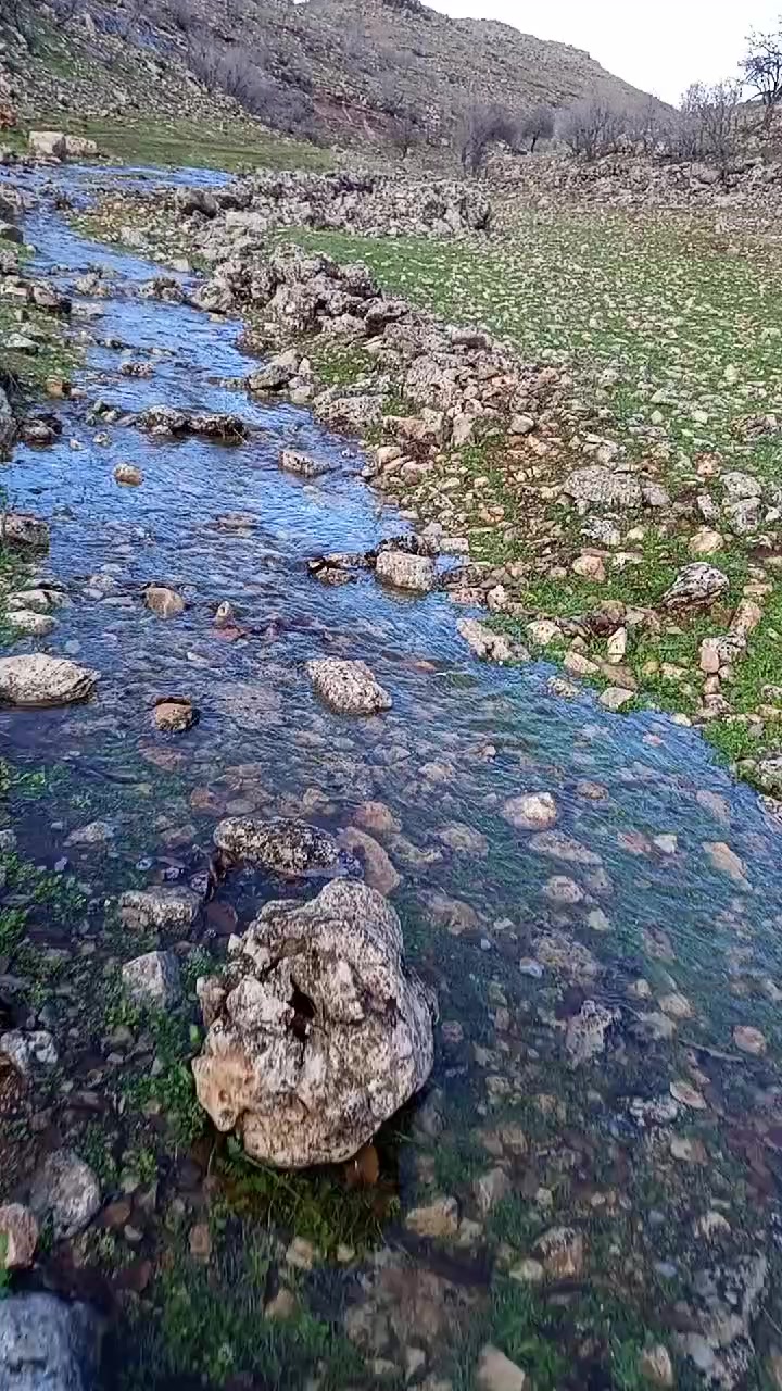 @hebun zınar