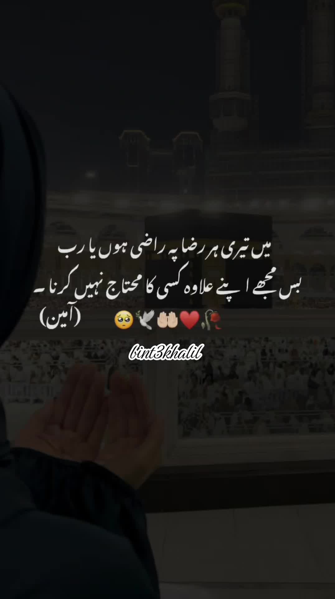 @Umaira