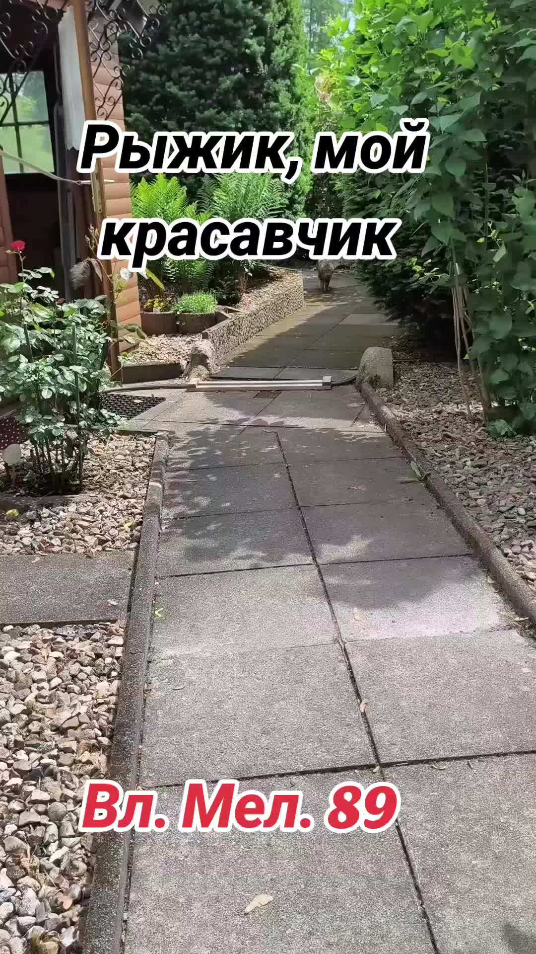 @Вл.Мел.89 🎶 Wladimir. M