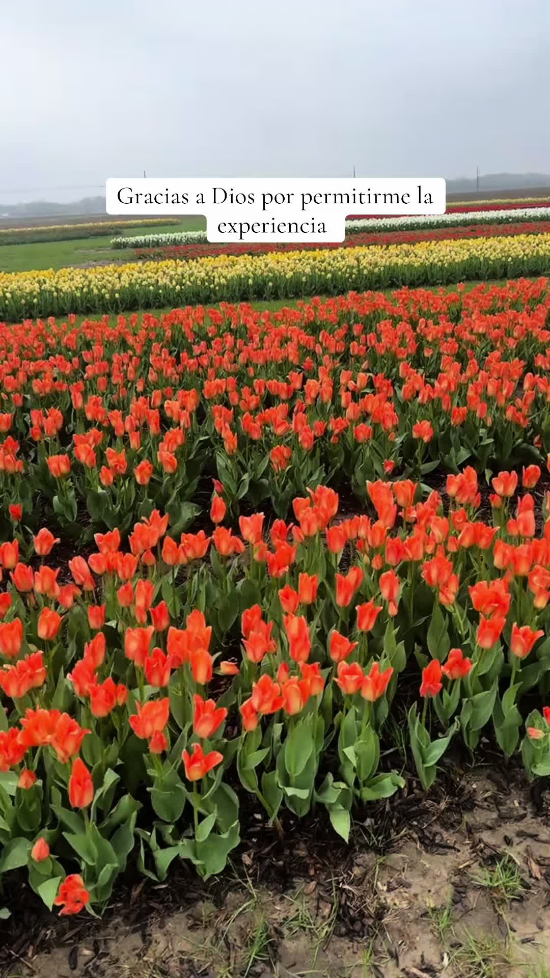 @Elizabeth🖤🦂