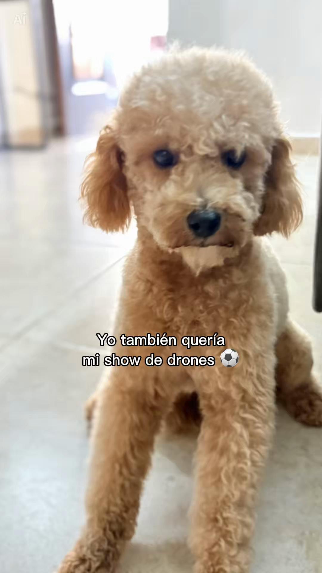 @sary25ca