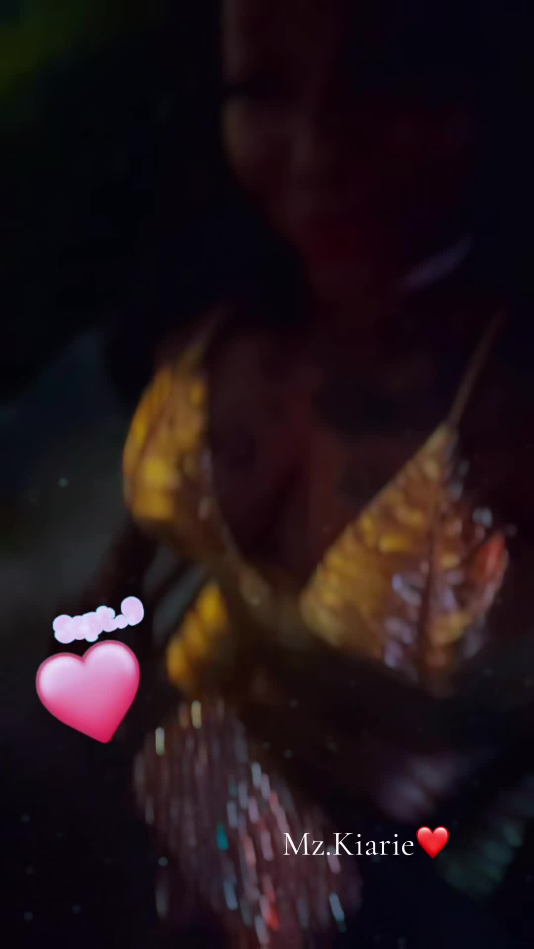 @DaPluzSizeBarbie🫶🏽💗