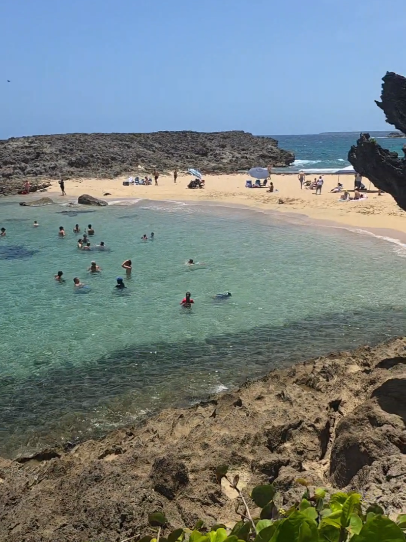 @IslandYey☮️