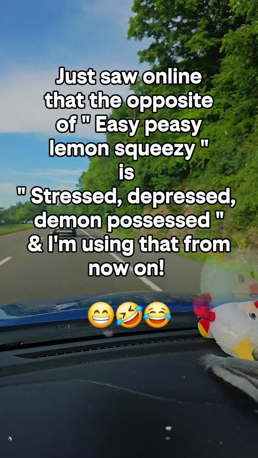 @SassySquid🐙