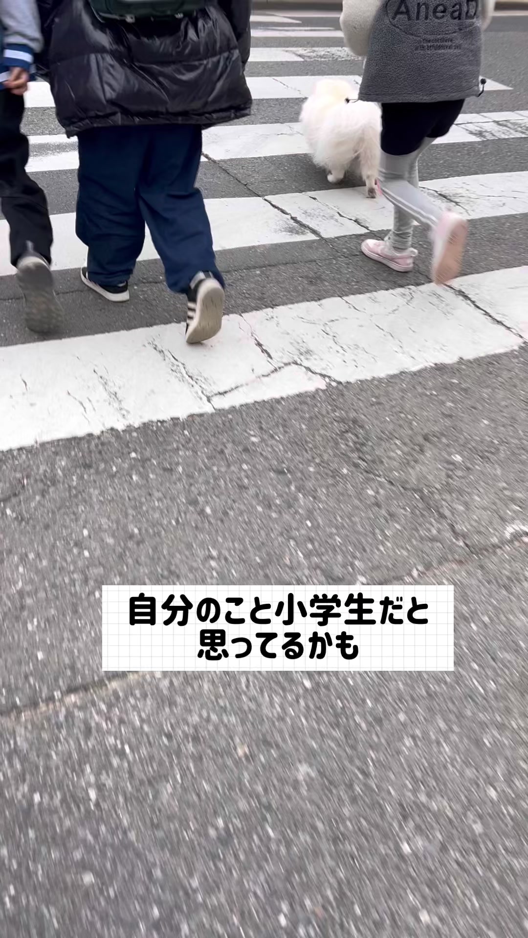 @なんこつ