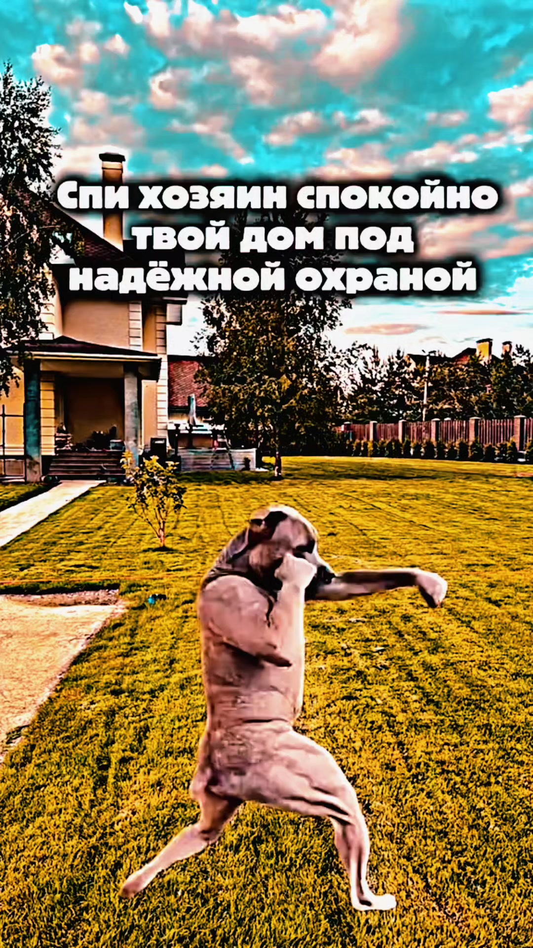 @vlad.kirsanov