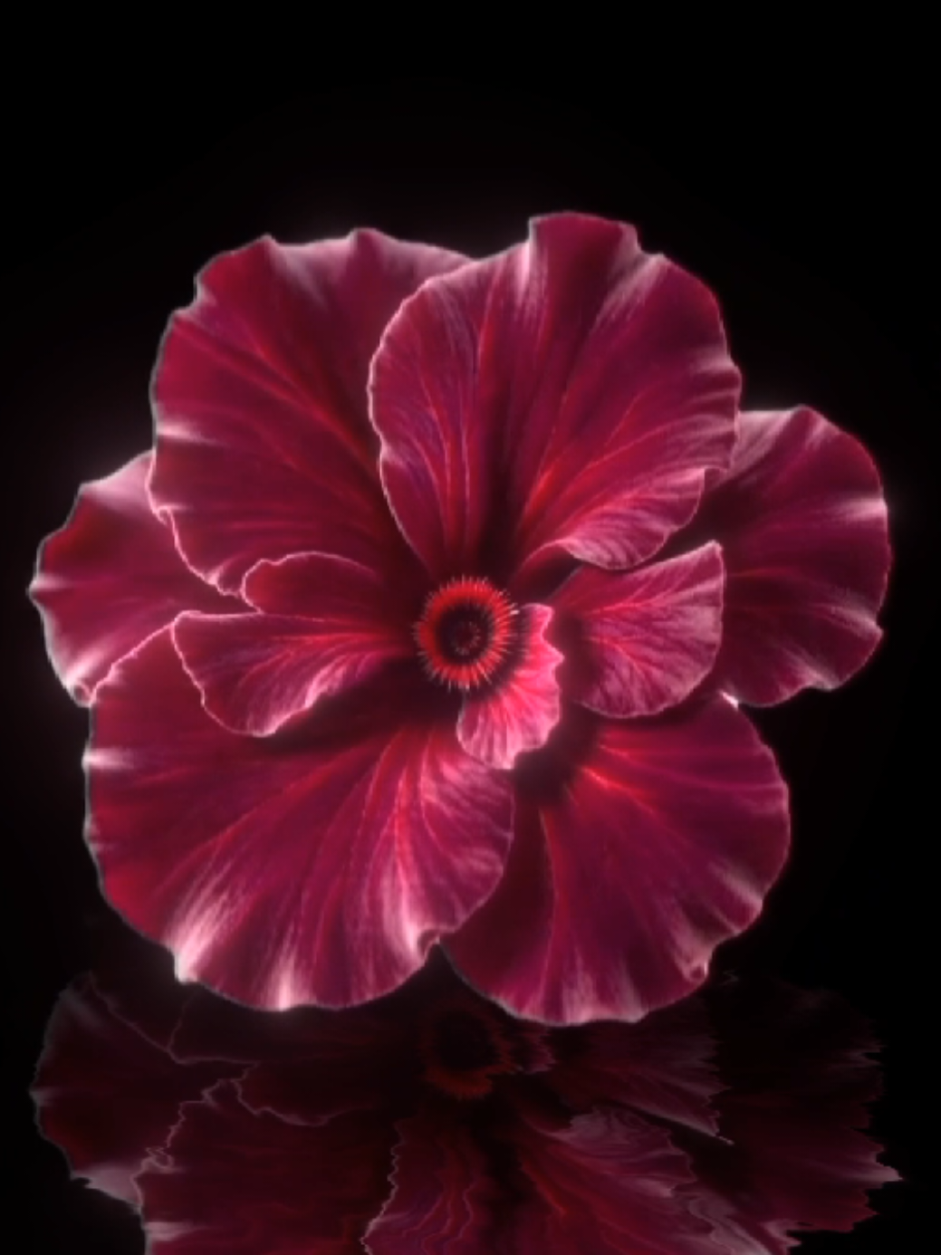 @𝐌𝐔𝐒𝐈𝐂 𝐌𝐄𝐃𝐄𝐑𝐎