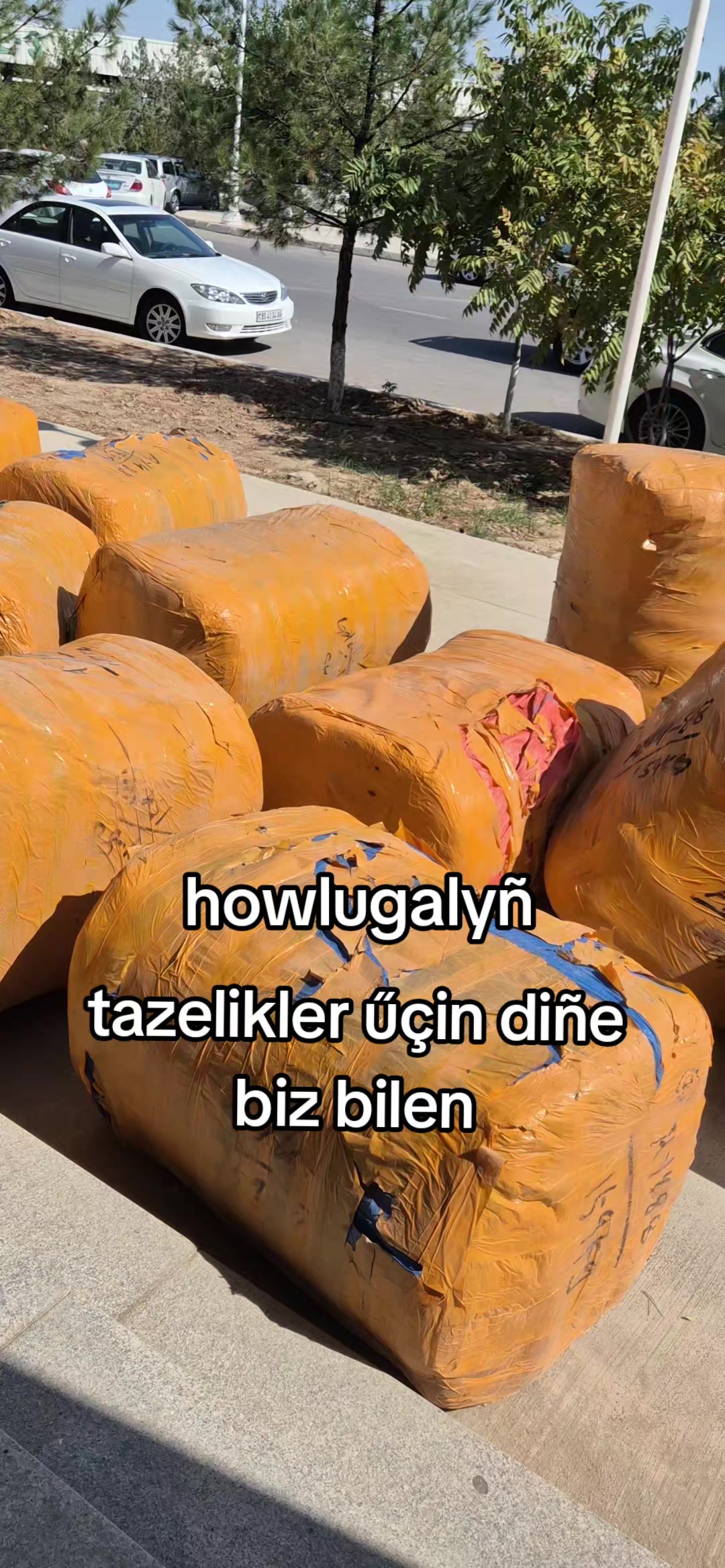 @yusupjan