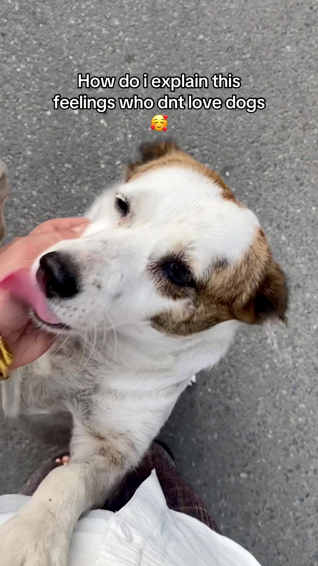 @Anshu shrestha 🐶
