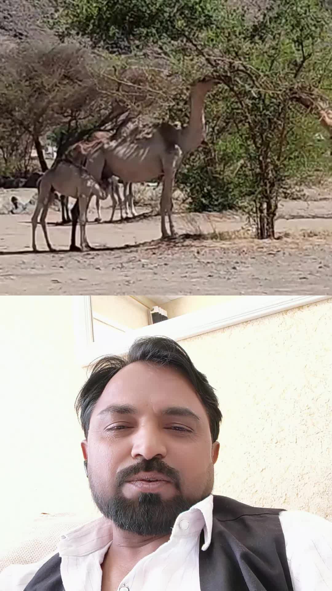@Anwar Hussain