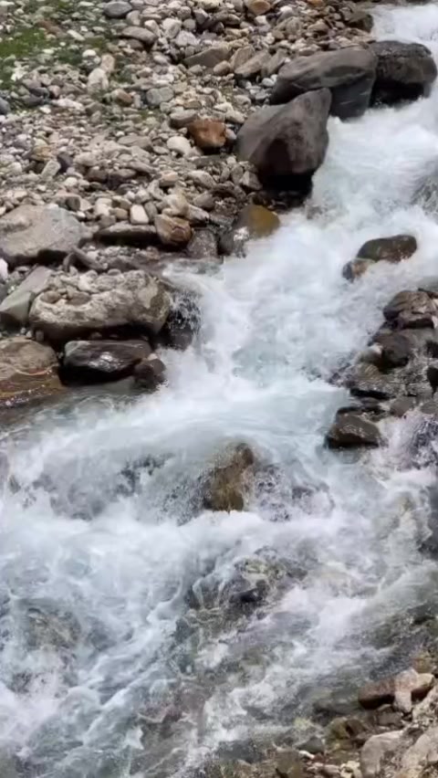 @arooba khan