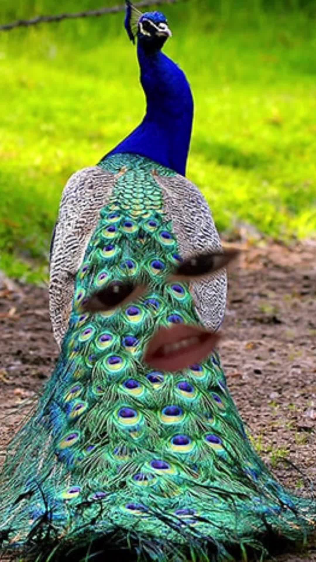 @° 𐐪𐑂Nabilaputri𐐪𐑂 °