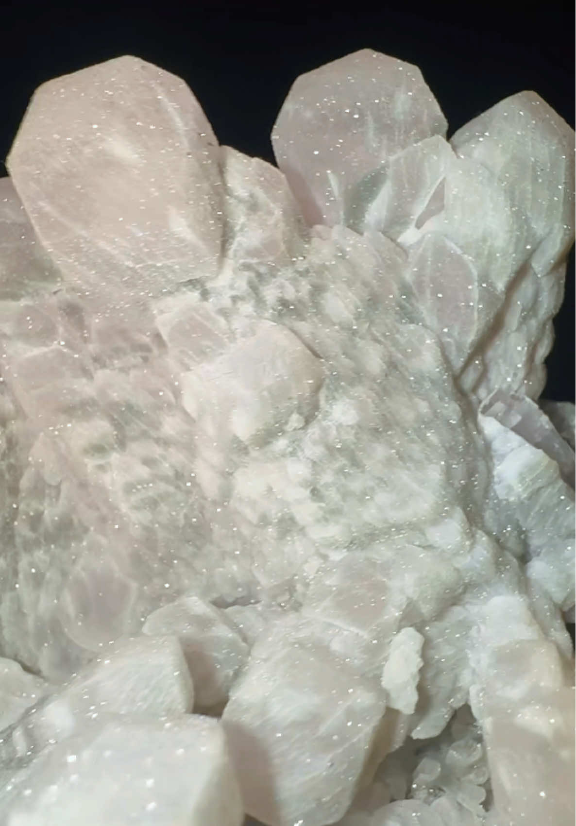 @Bella’s Crystal collection