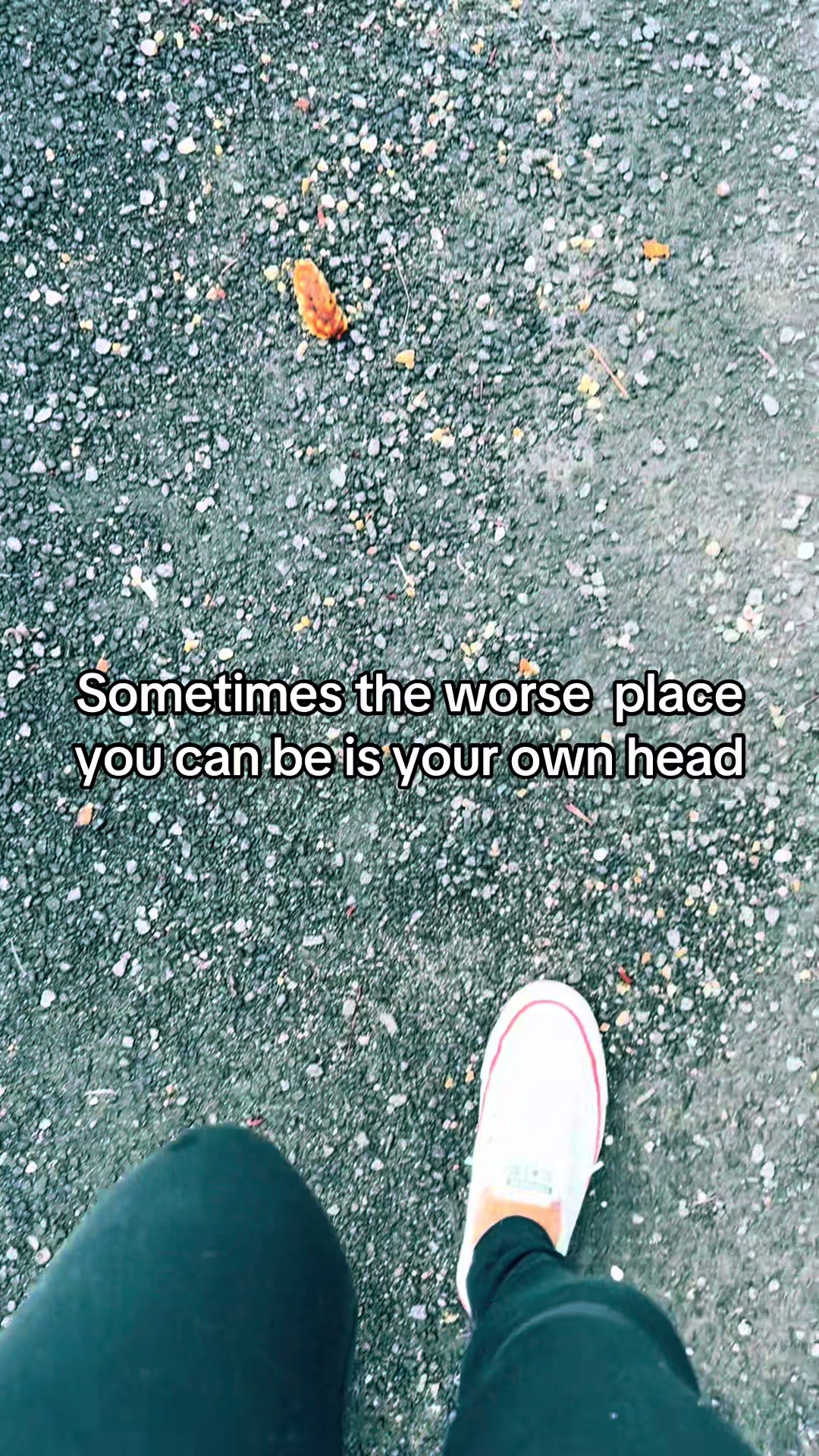 @Amanda ๐๐ค