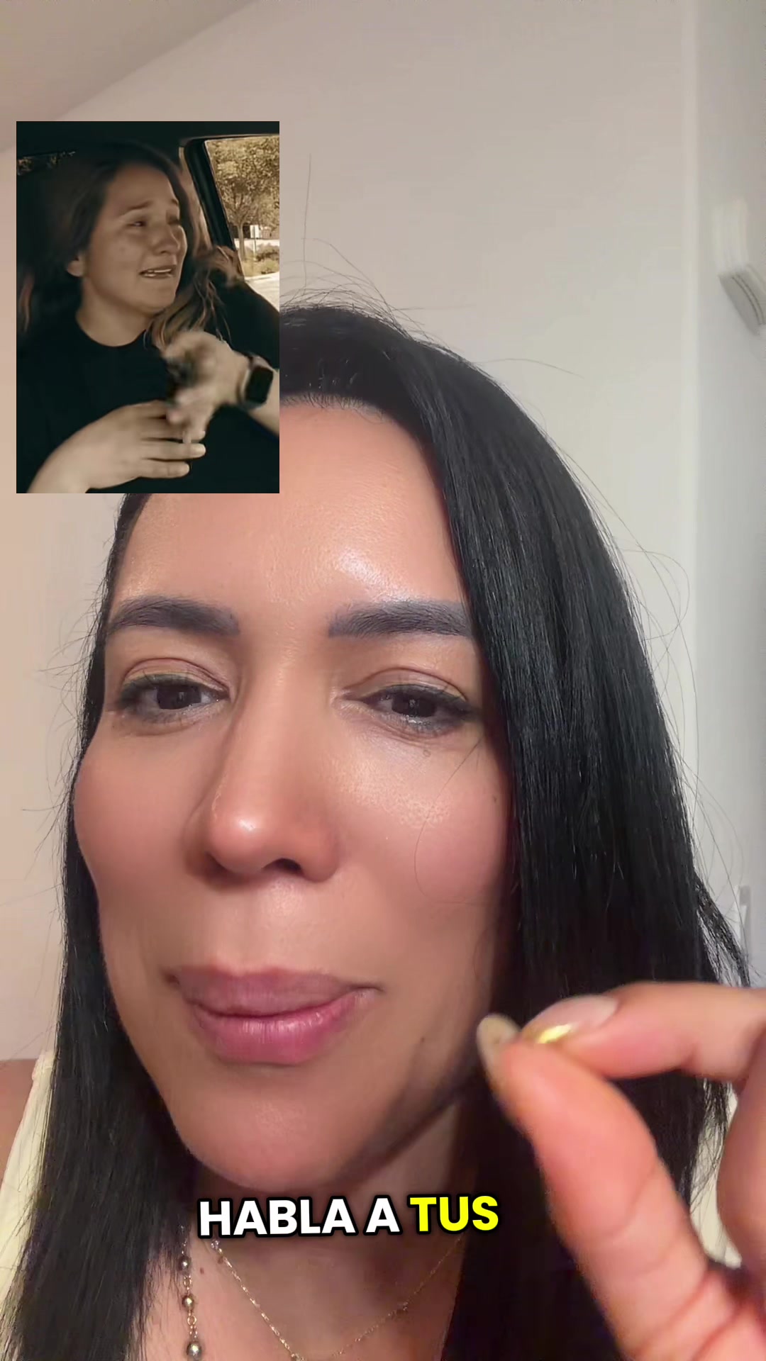 @soygreisp