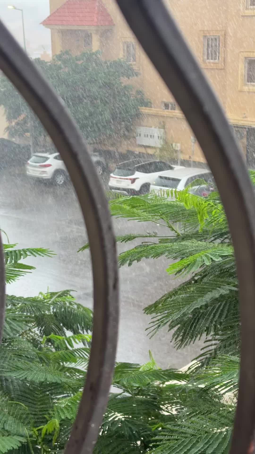 @إيمان بنت حمود 🇸🇦