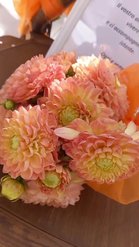 @Simone Lisoladeifiori.
