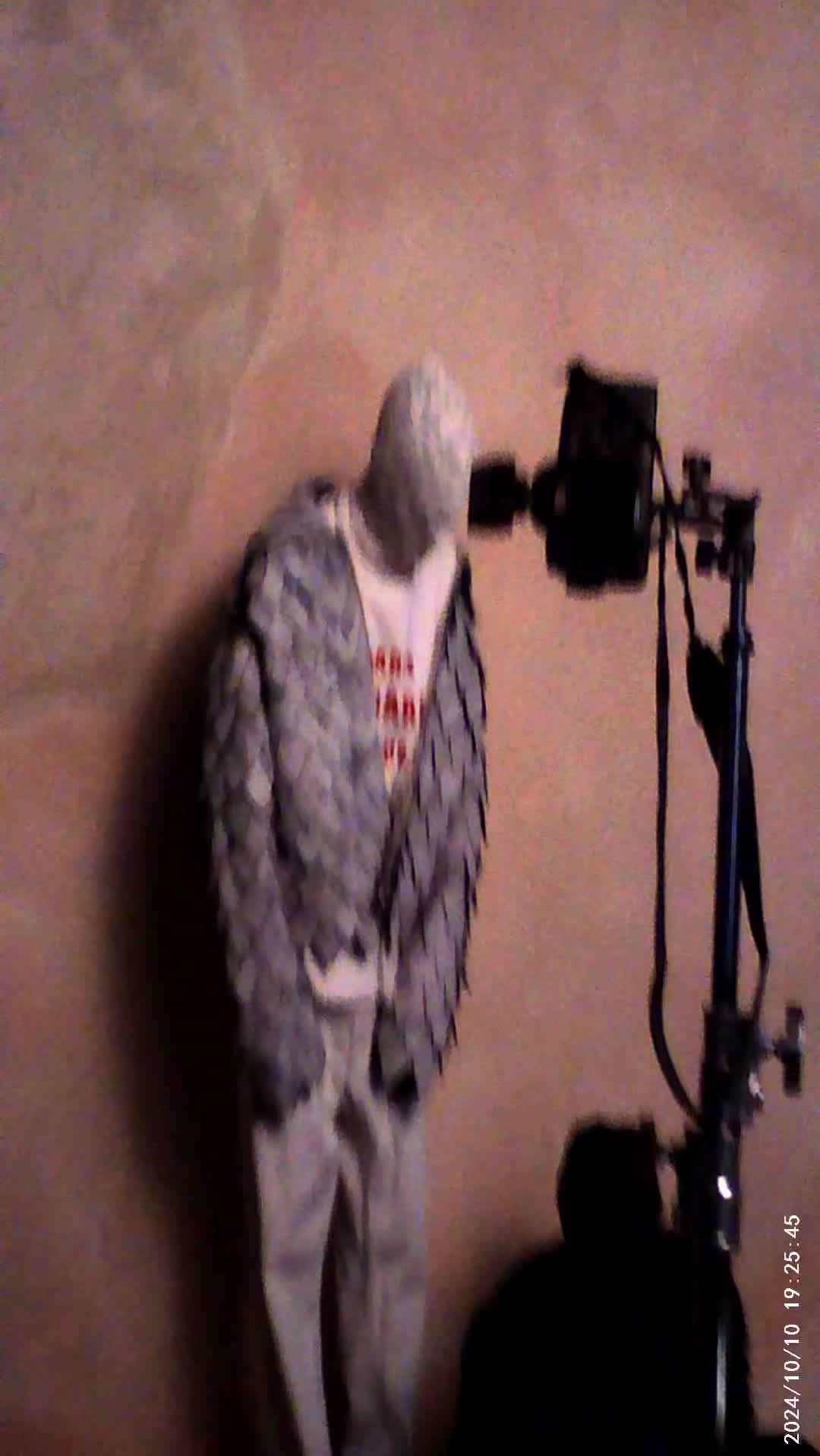 @YVX