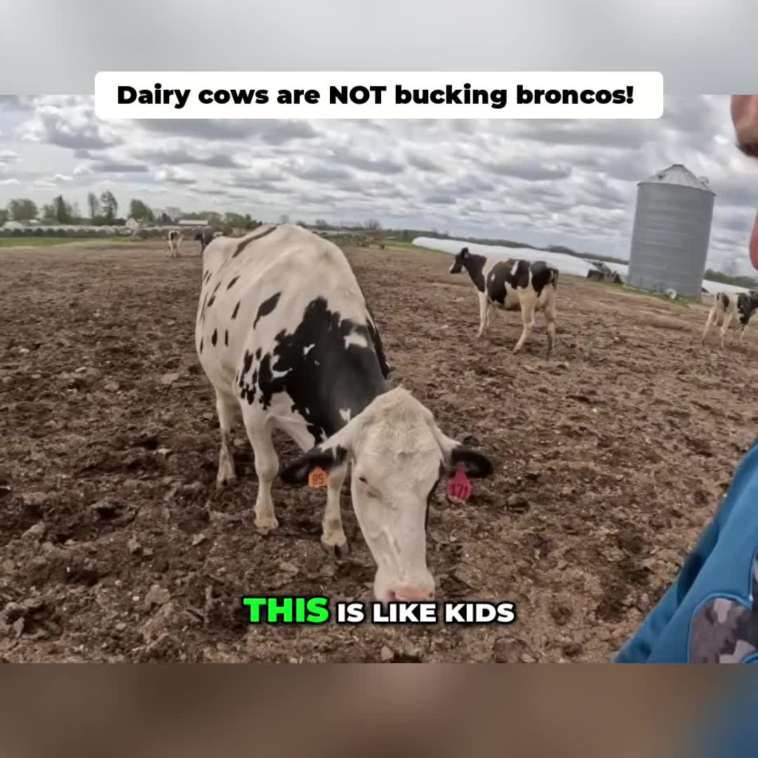 @Kip Siegler Farming