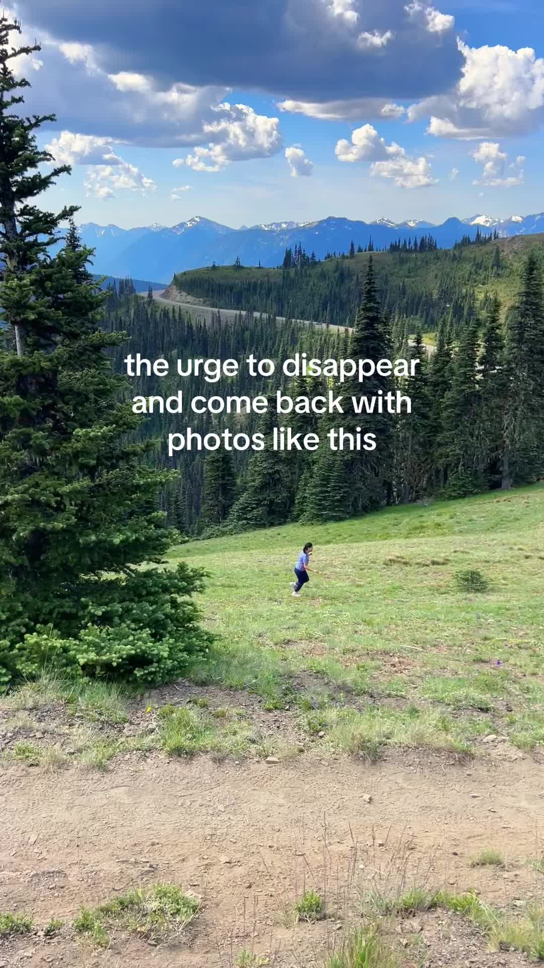 @andreah ⟢