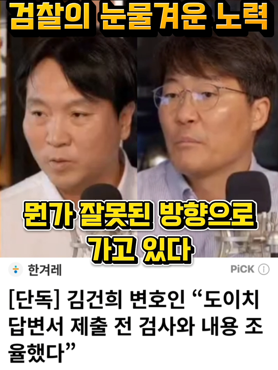 @정치냥인