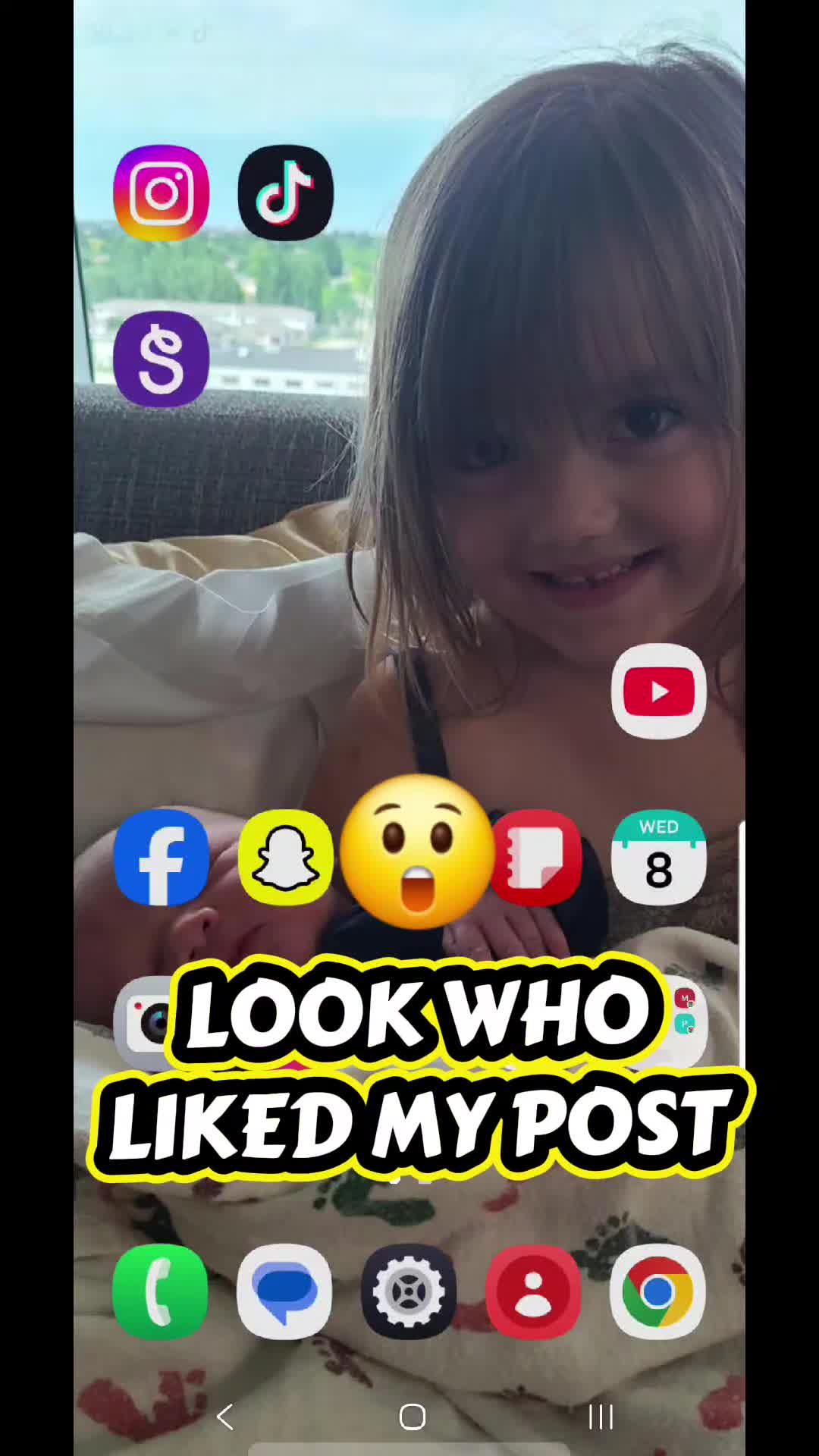 @shelbyriemer
