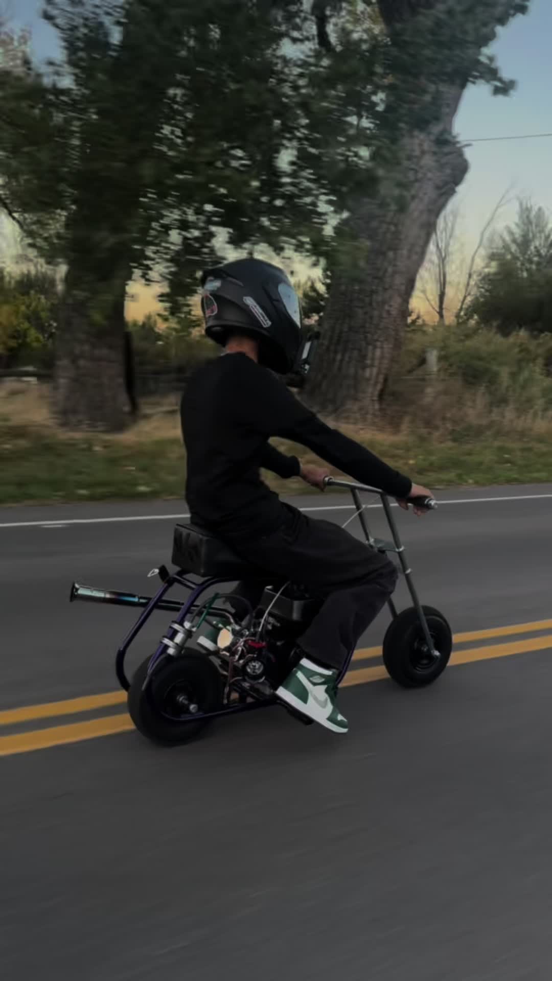@zoomeez_