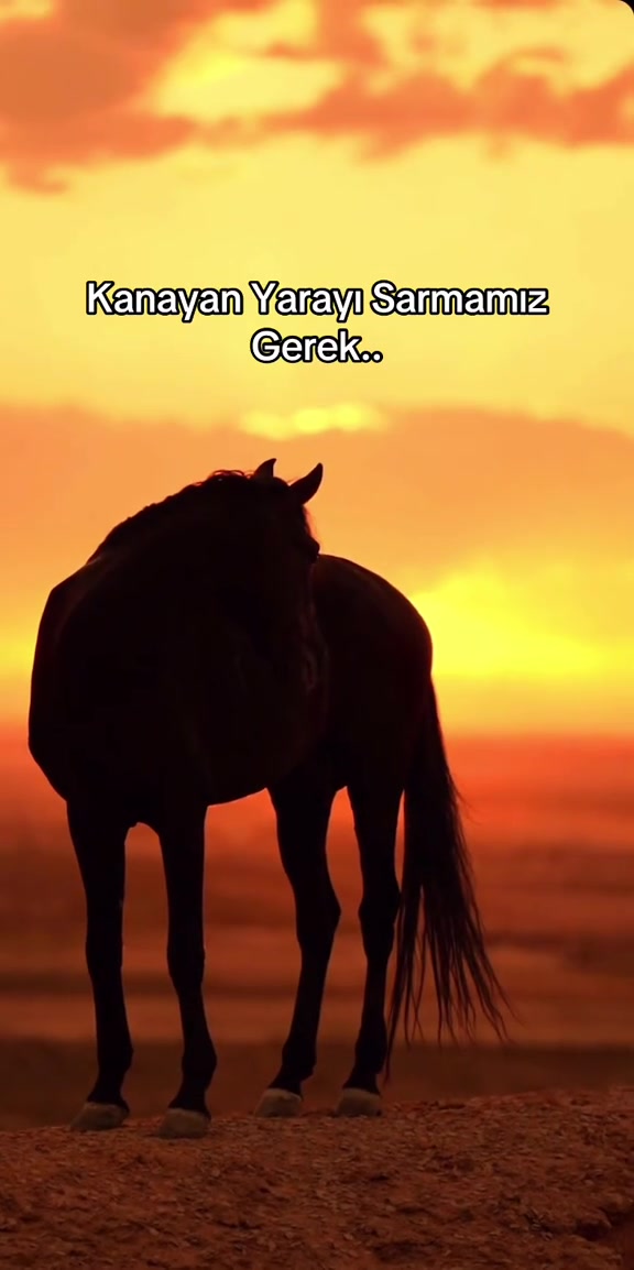 @Gül๐น