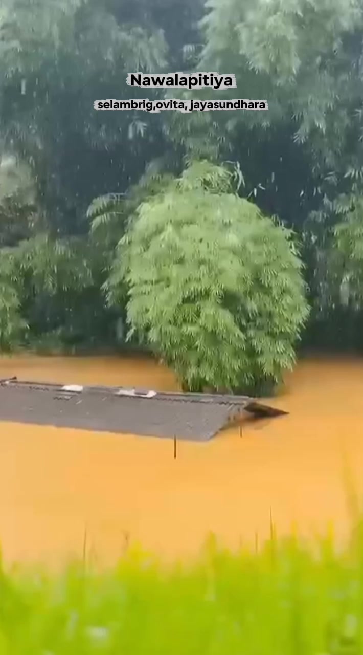@𝐅 𝐀 𝐗 𝐀 𝐋