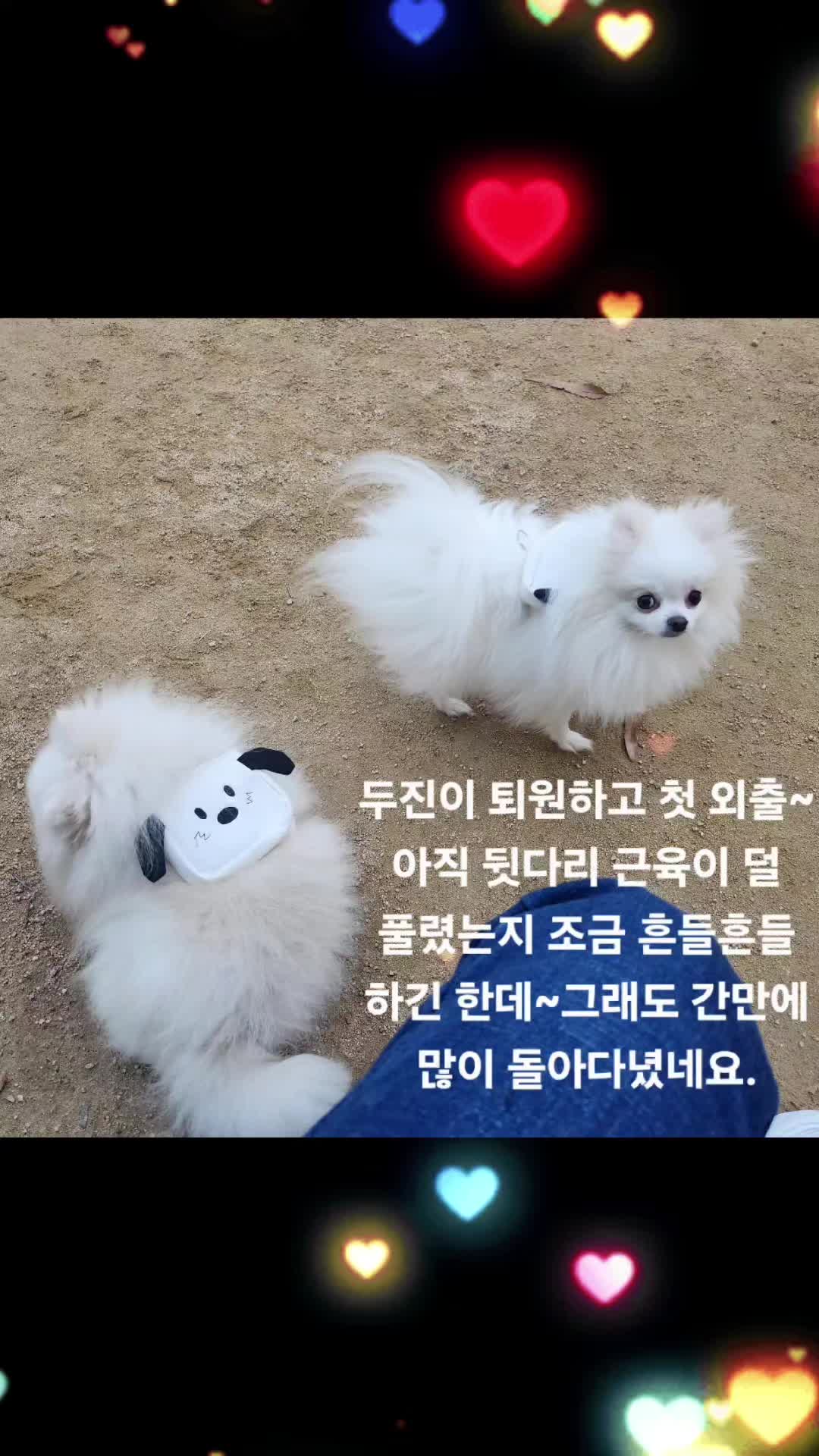 @두진이와두리 아빠