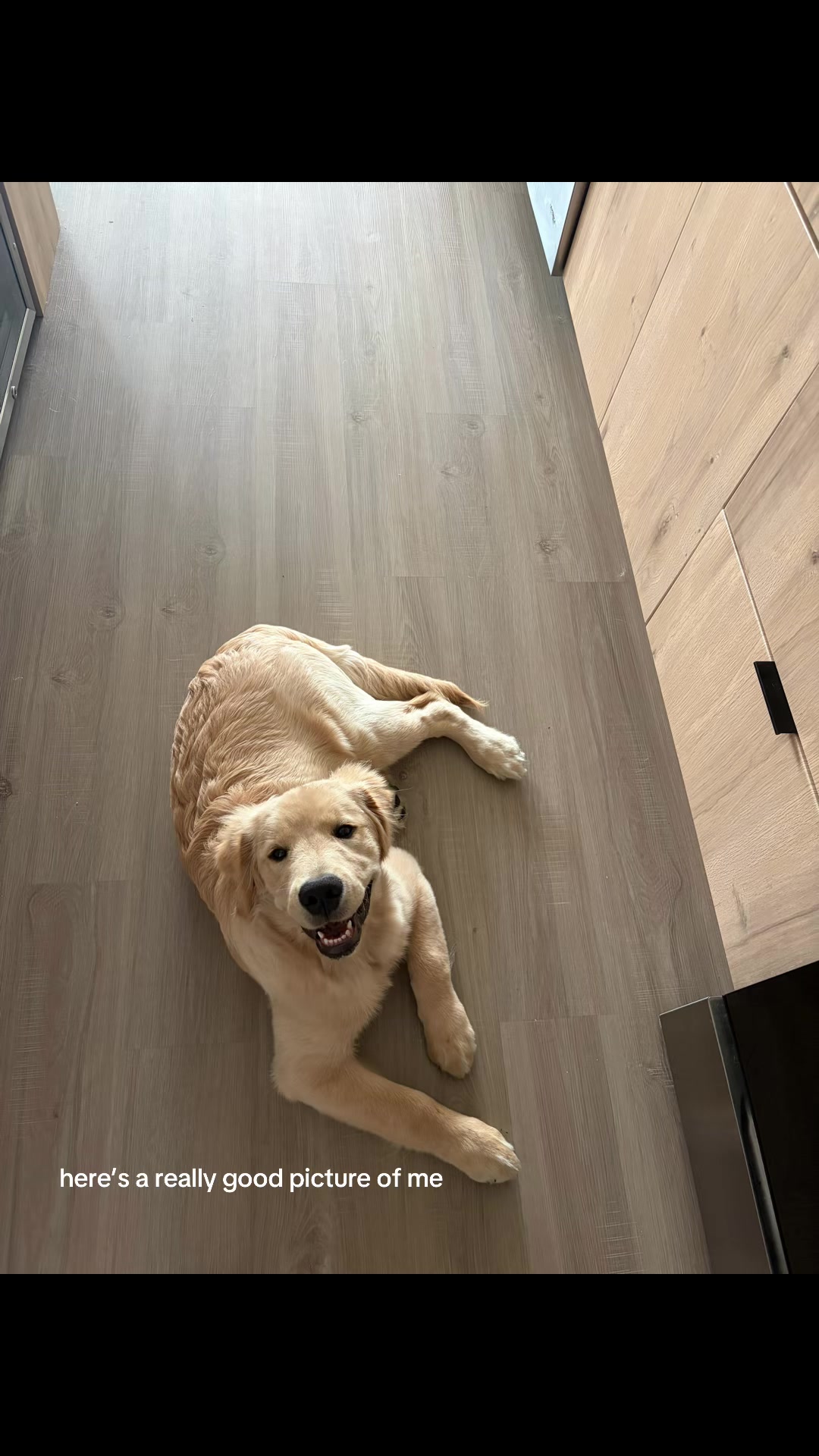 @Luca the Golden