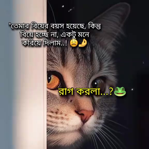 @❣️😎_(The Lost Boy)_😎❣️