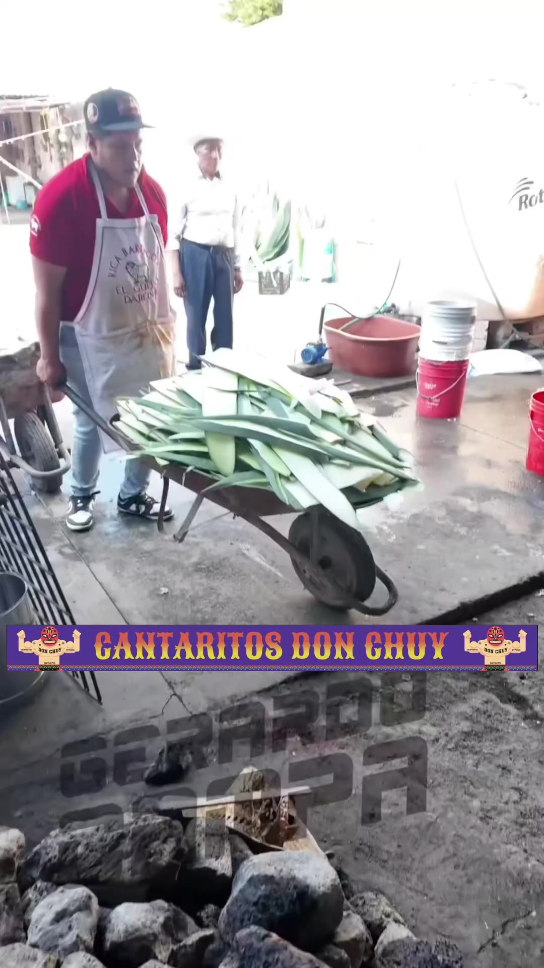 @Gerardo Campa