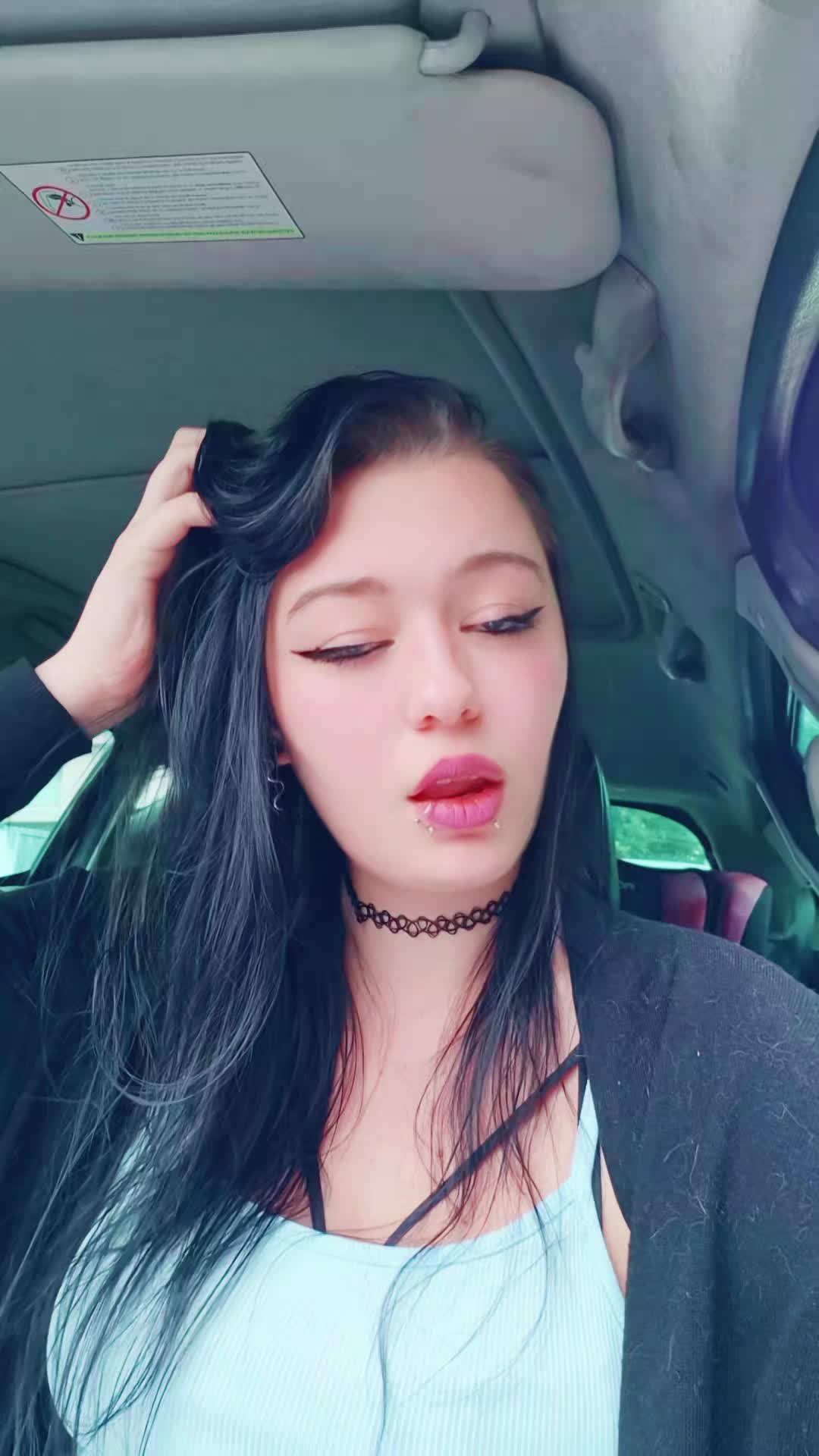@bvb_spam