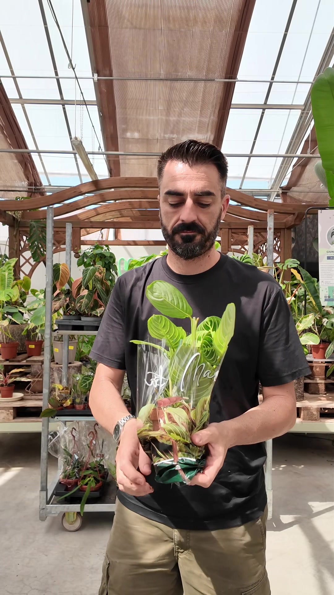 @Garden Center Brioli