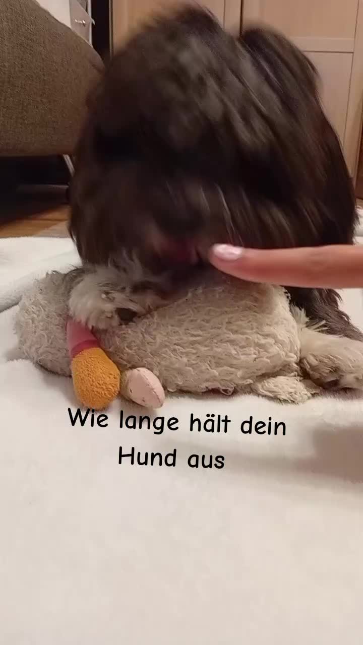 @🎀 Lena 🎀