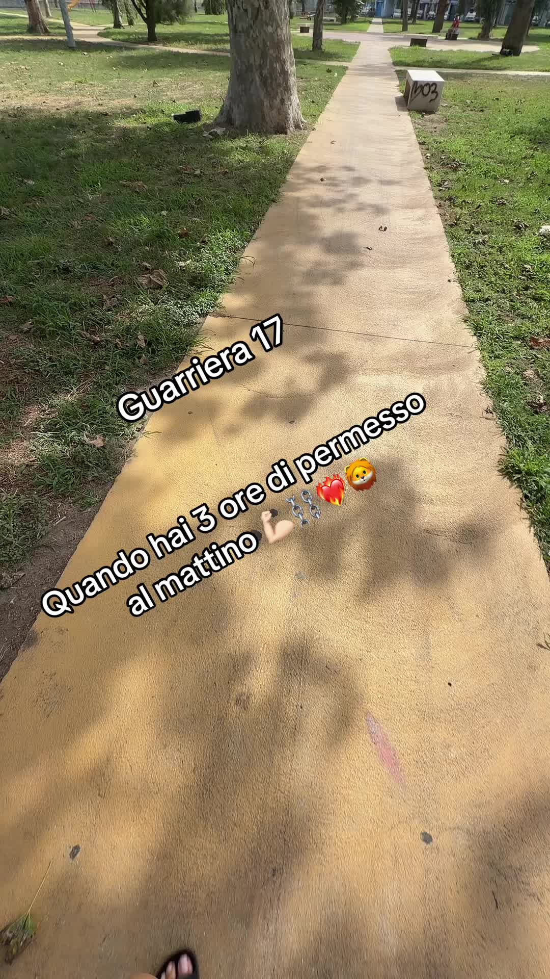 @guarriera17