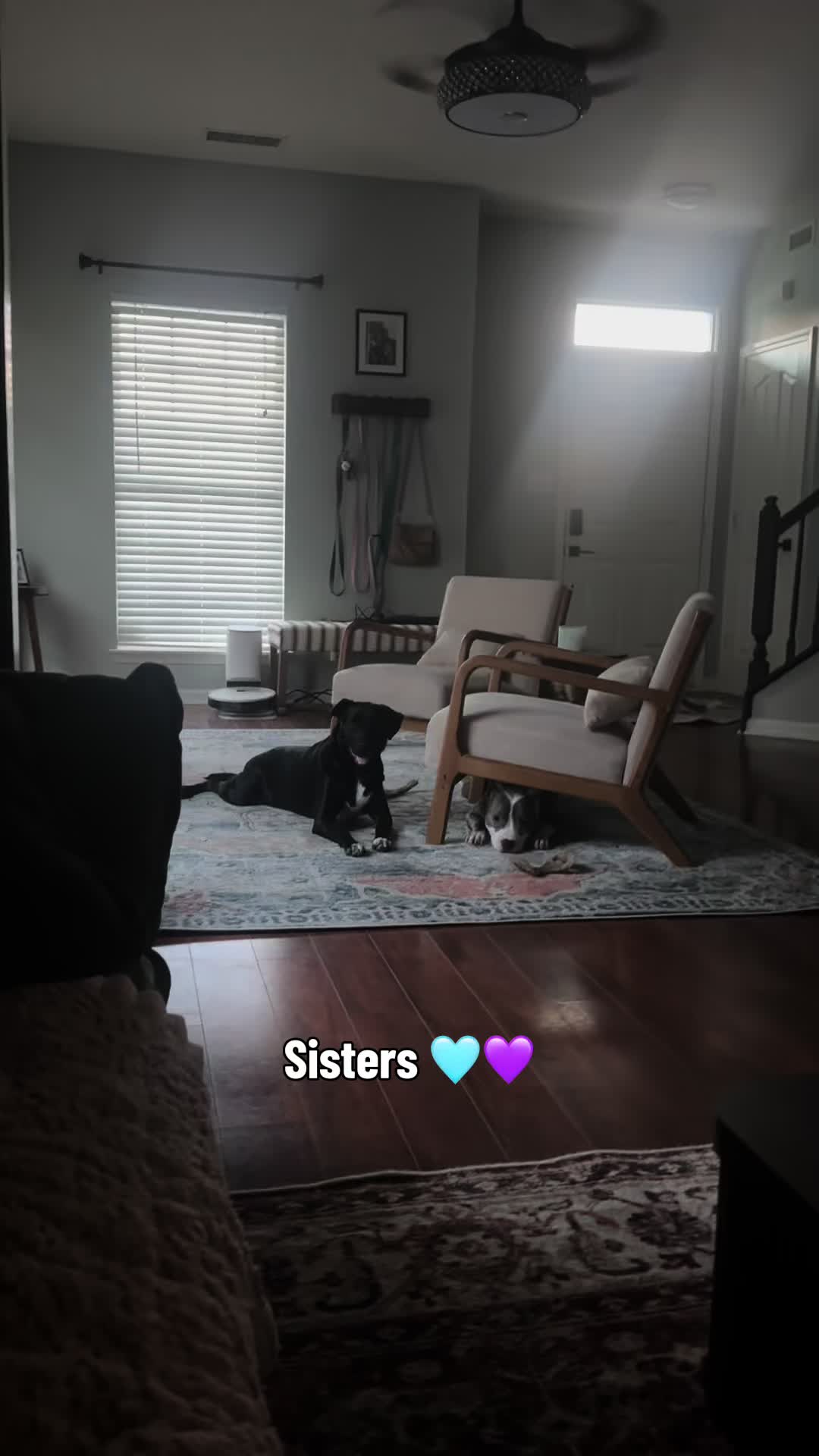 @SBPK