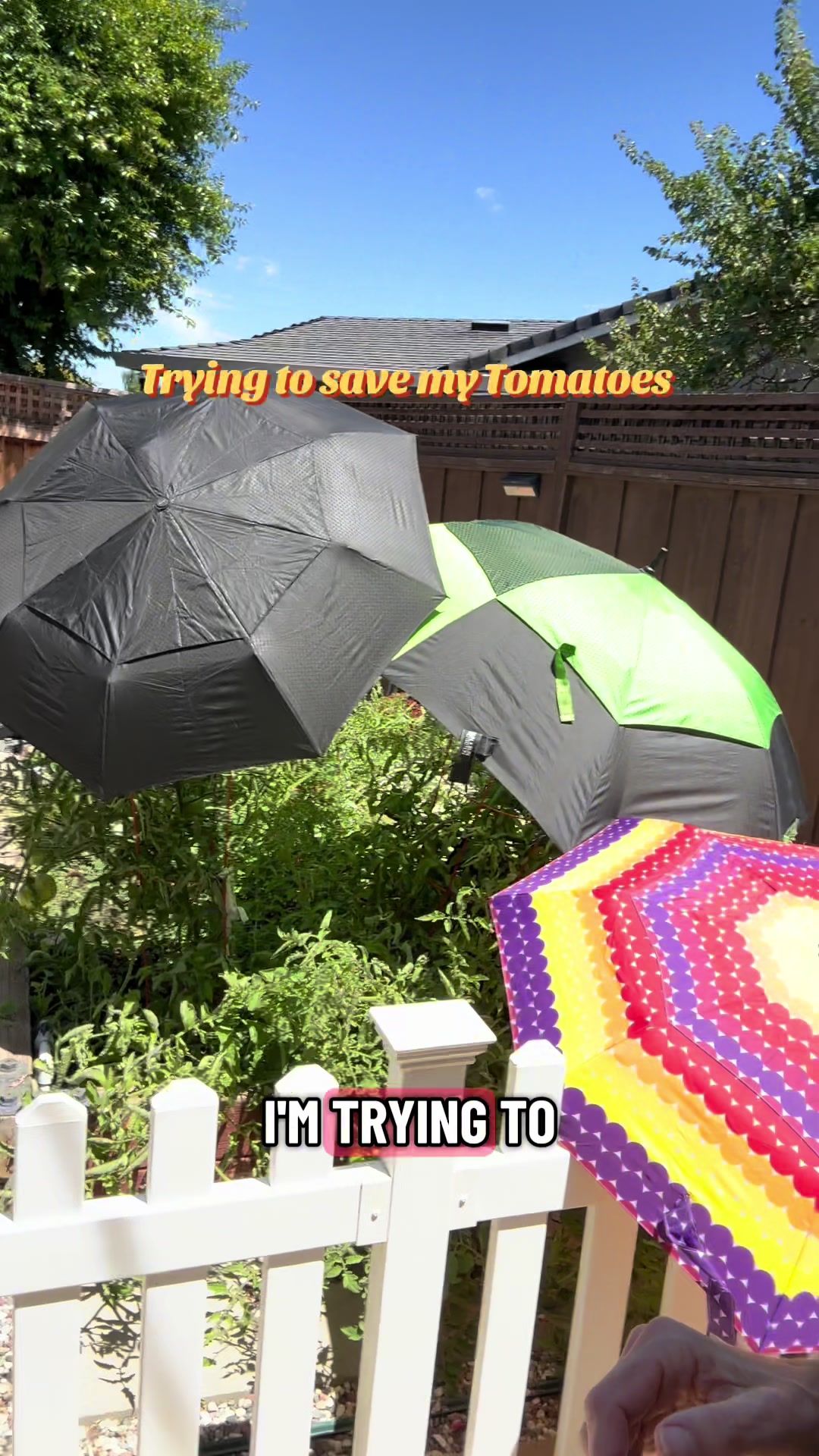 @michelle