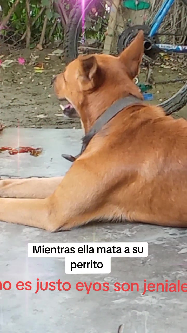 @Erik Pineda
