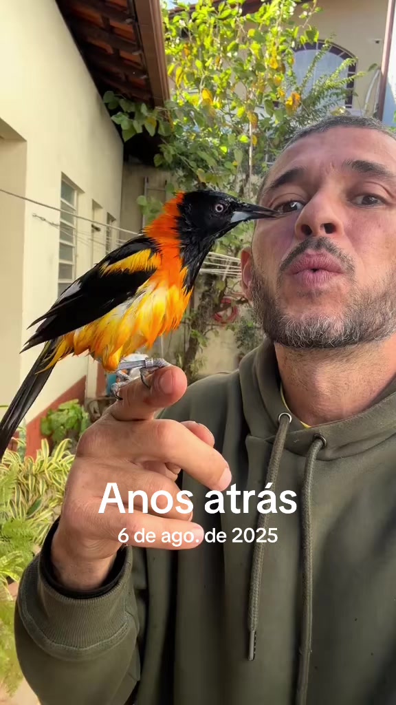 @companheiroveio