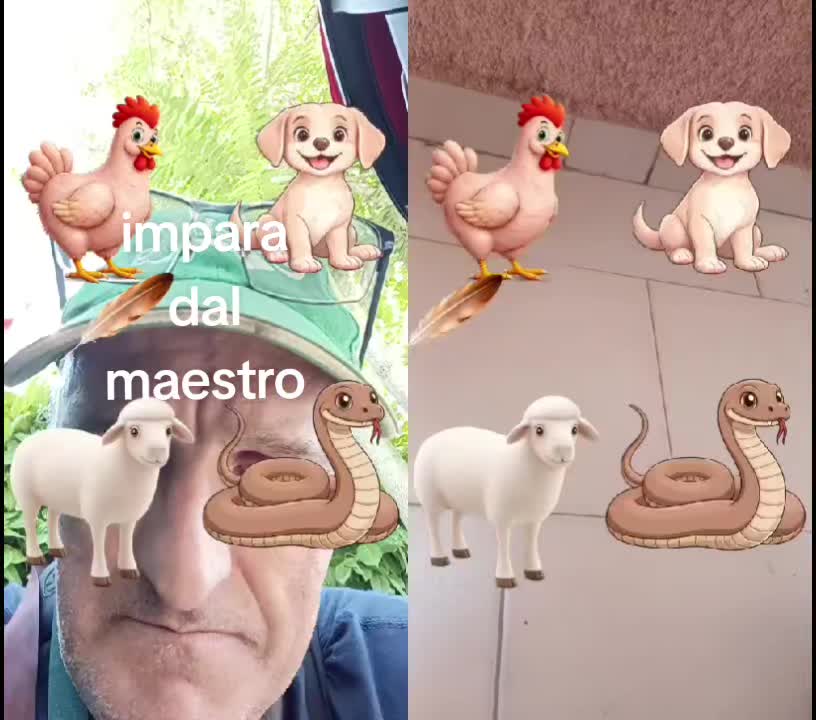 @ivorongaro6