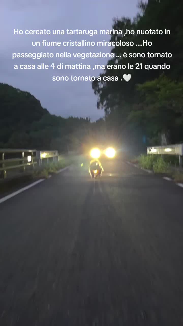@cuore.animale