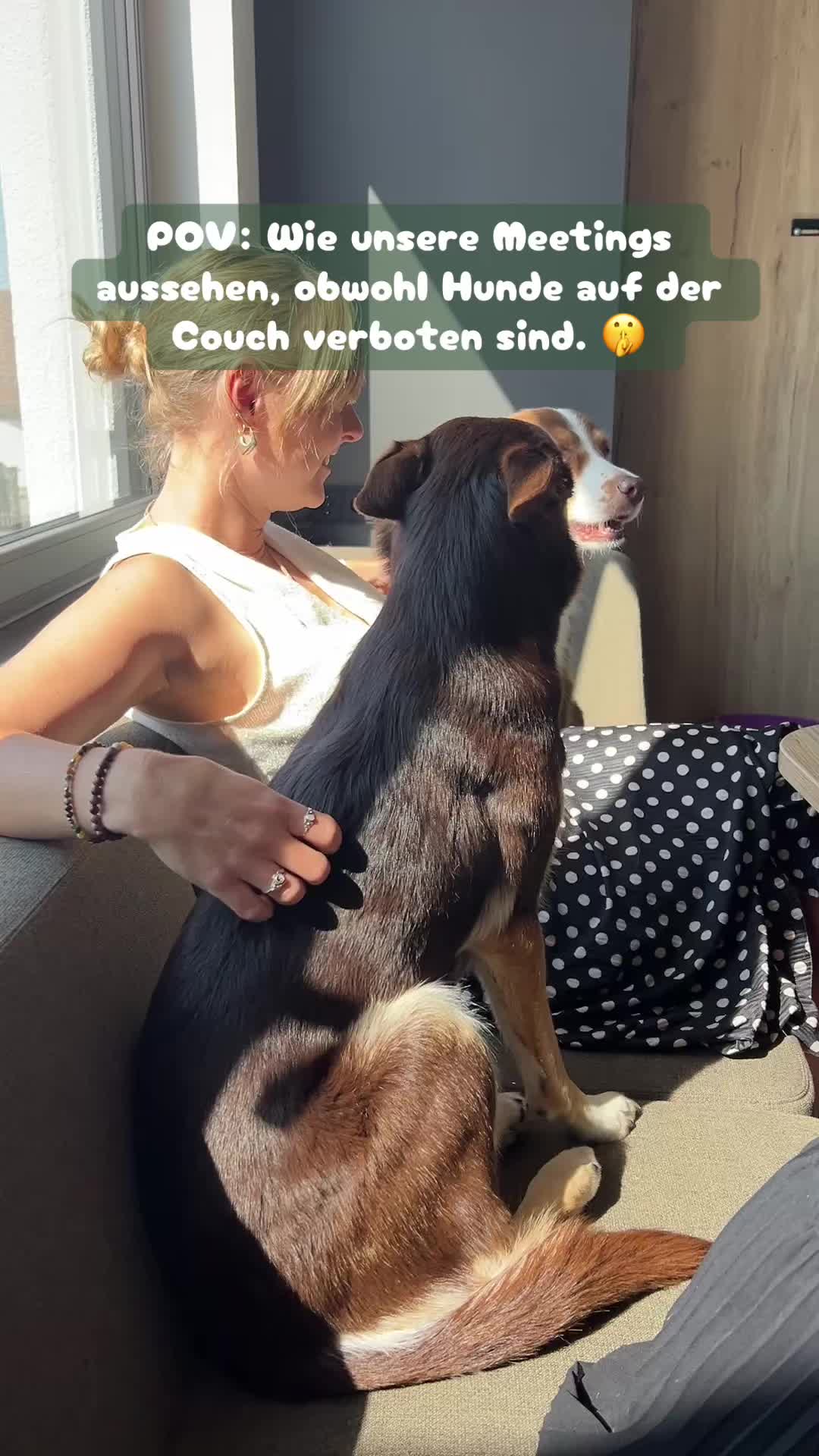 @GranataPet
