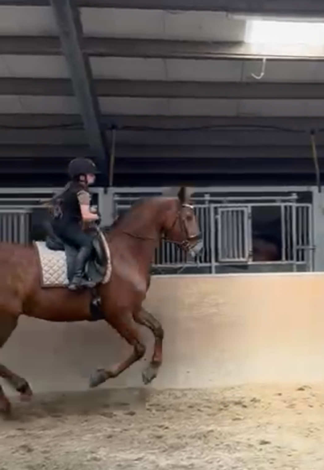 @Young Rider Journey🐴
