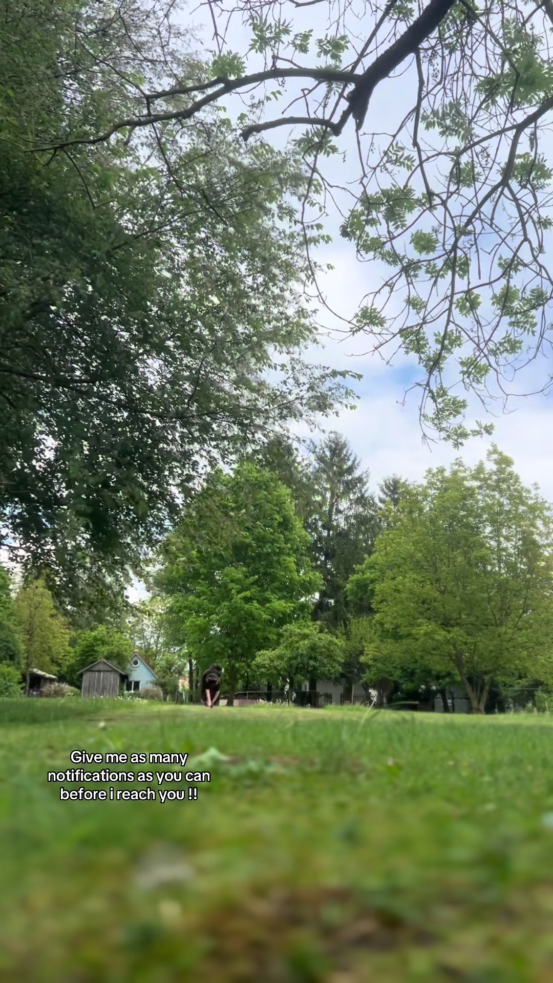 @☘✸ s𖤓ʏᴀ.. ʙᴇᴀɴ ✸🍏