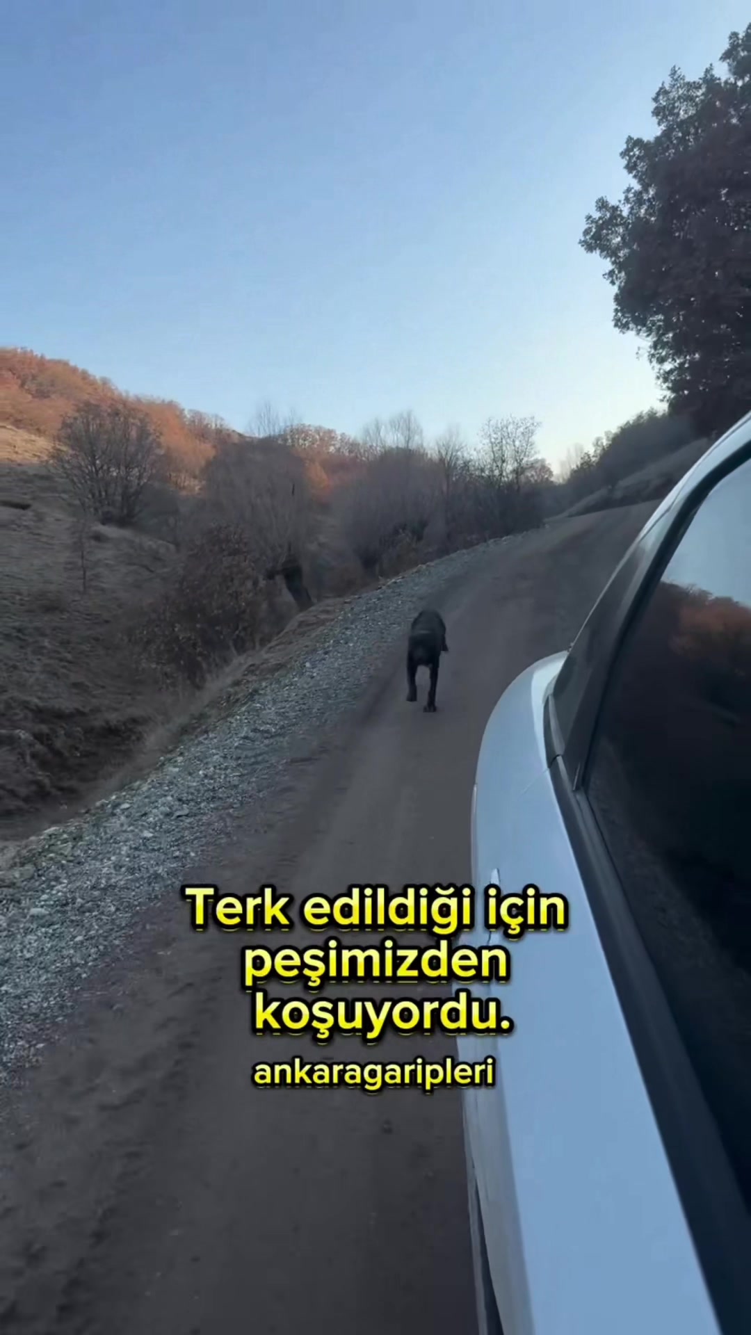 @Asiye
